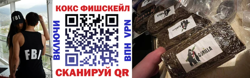 COCAIN 97%  Купить закладки  Тольятти 