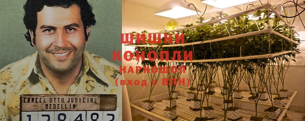 эйфоретик Богородск